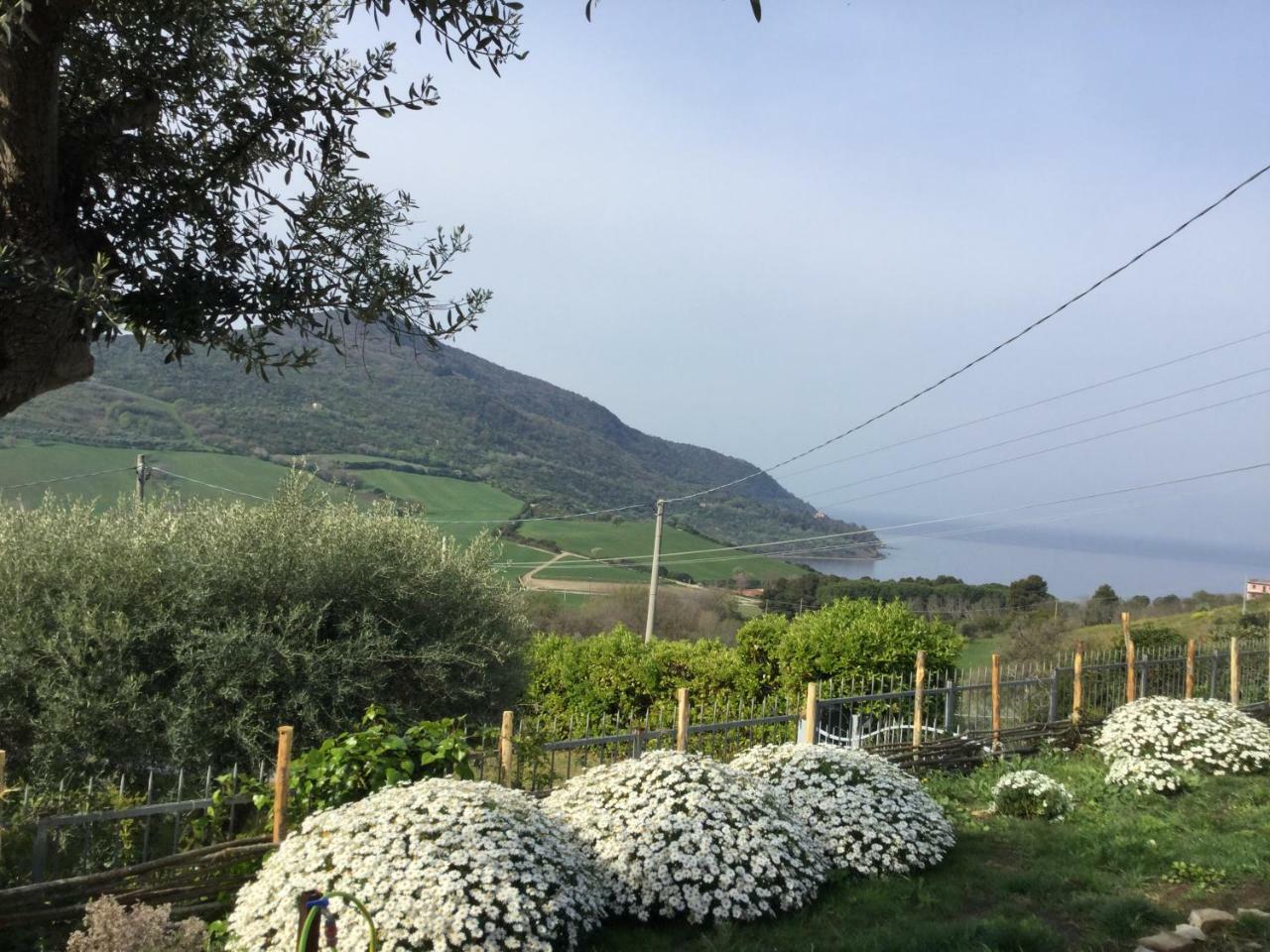 Hotel Myrtus Agropoli Exterior photo